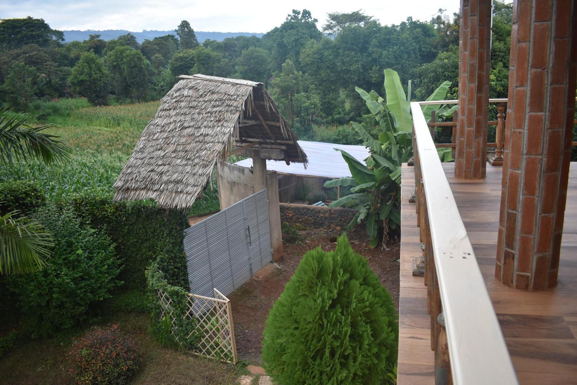 Kilimanjaro Accommodation Msaranga Экстерьер фото