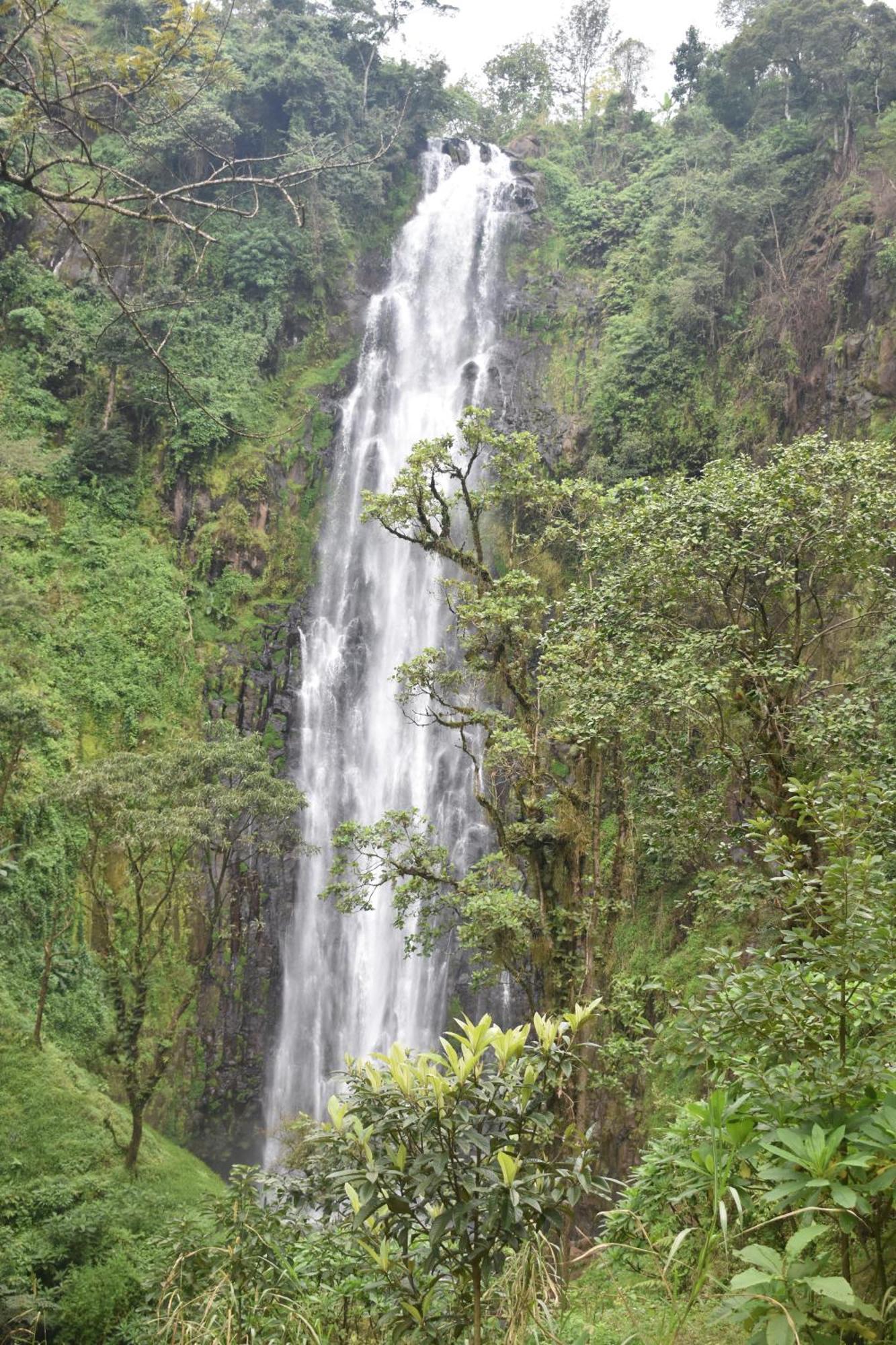 Kilimanjaro Accommodation Msaranga Экстерьер фото
